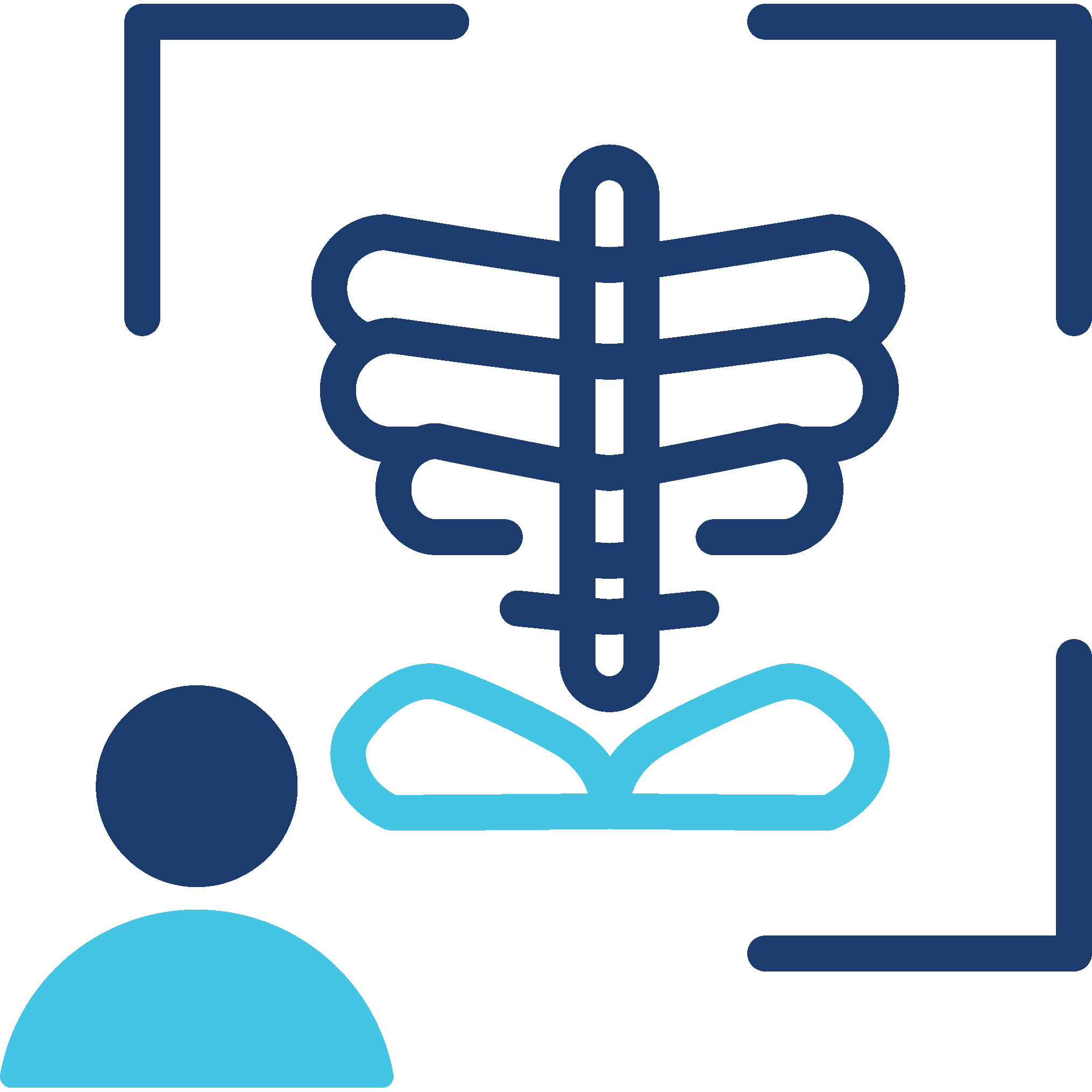 X-Ray & Lab Icon